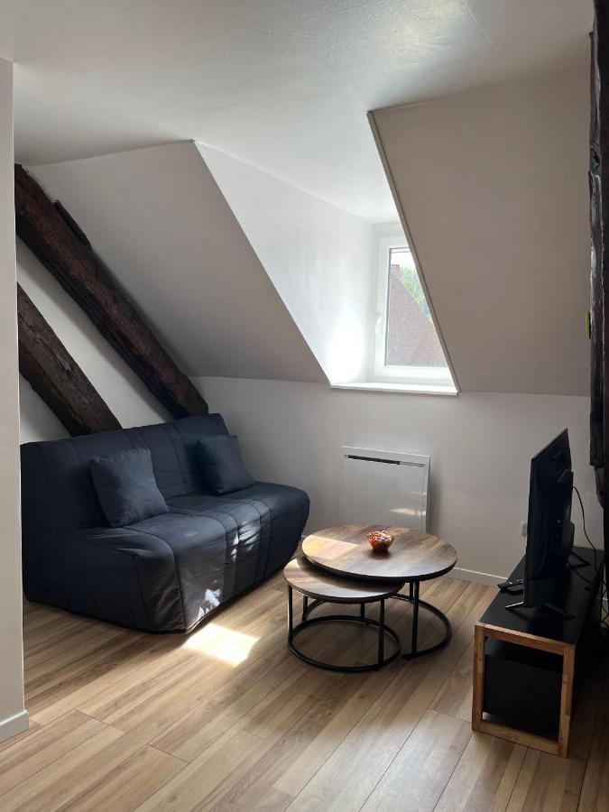 Appartement De La Fontaine A La Tour Du Pin Hyper Centre Parking Prive Eksteriør billede